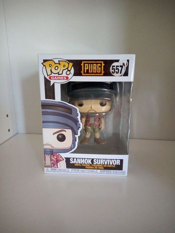 Pop 557 Sanhok survivor