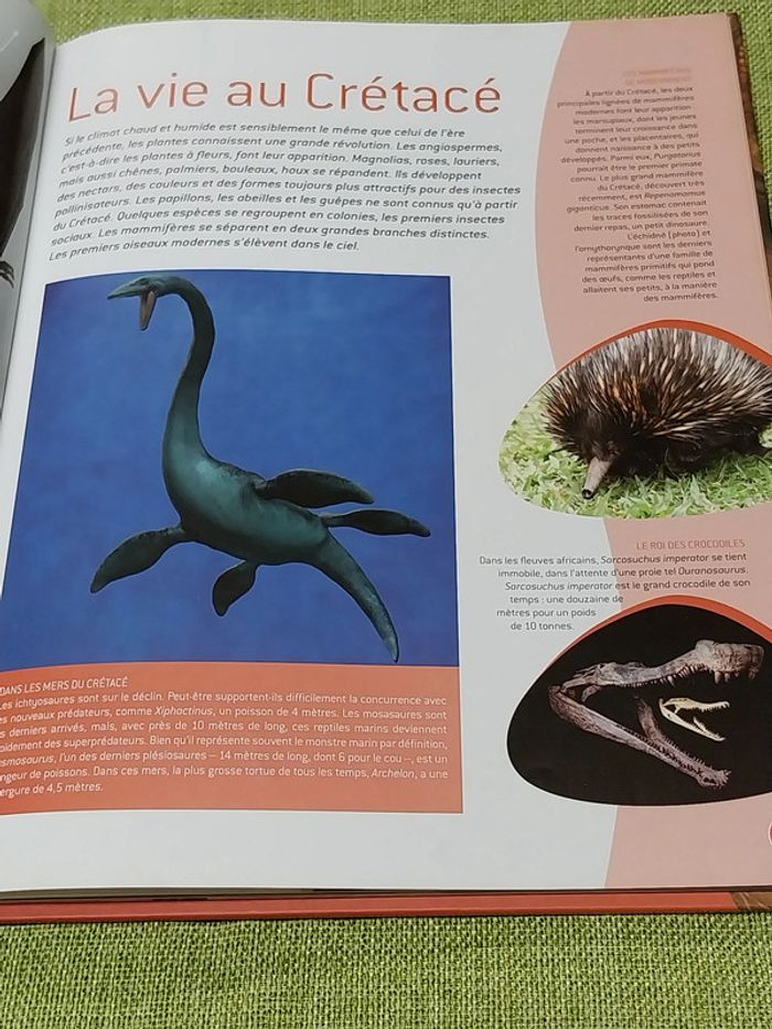 Les dinosaures Jean-Philippe Noël Ushuaia Junior EAN-9782352190387 - photo numéro 5