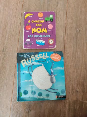Lot 2 livres enfants