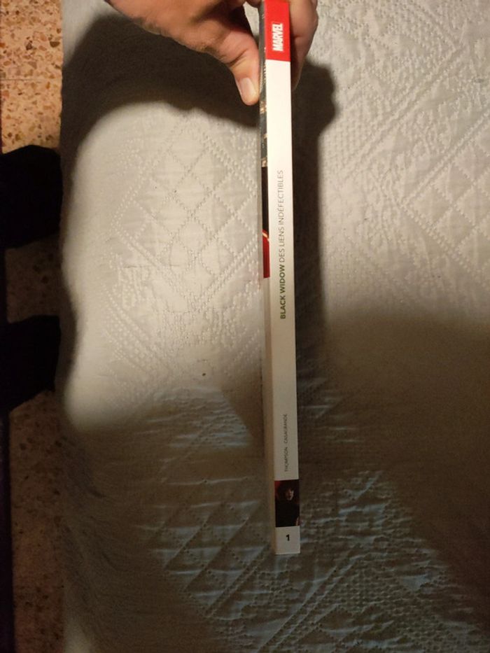 Black widow Tome 1 - photo numéro 4