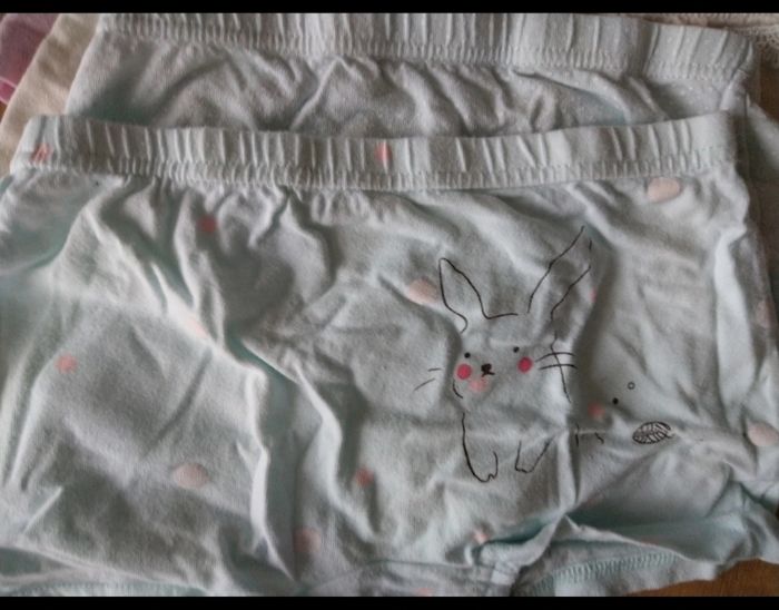 Lot de 4 panties - photo numéro 2