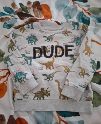 Pull C&A dinosaure 🥨