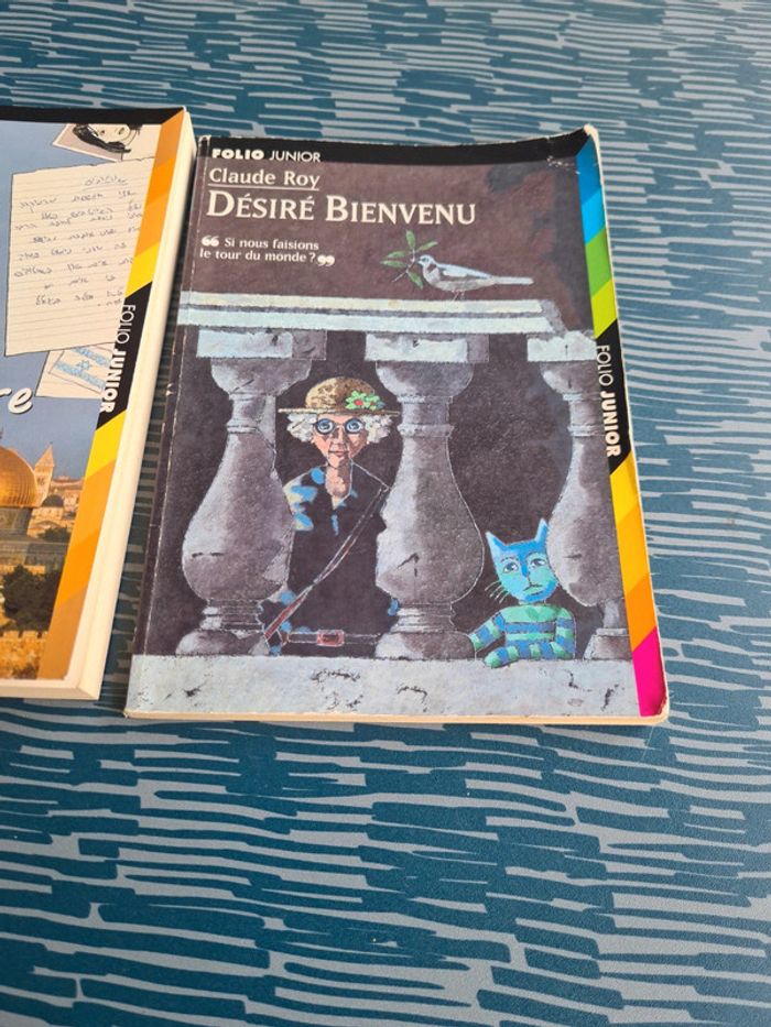 Romans jeunesse - photo numéro 3