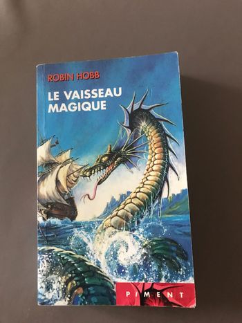 Livre Le vaisseau magique