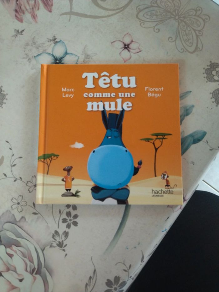 Têtu comme une mule