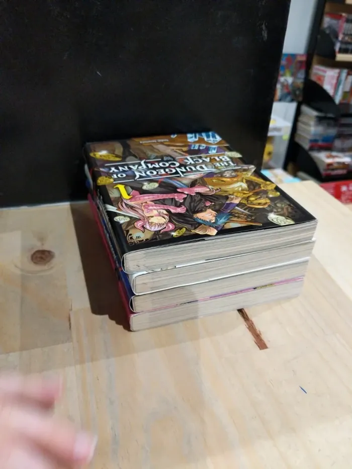 The Dungeon of Black Company – Tomes 1 à 4 - photo numéro 4