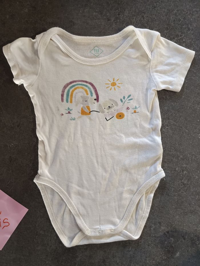 Lot bodies mixtes 12 mois - photo numéro 4