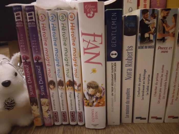 Calendrier de l'avent livresque (24 livres) - photo numéro 4