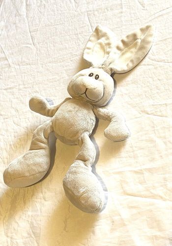 Petit Lapin Beige Doudou Intérieur Oreilles Museau Blancs Animal Faune Peluche Petits Enfants Bébés
