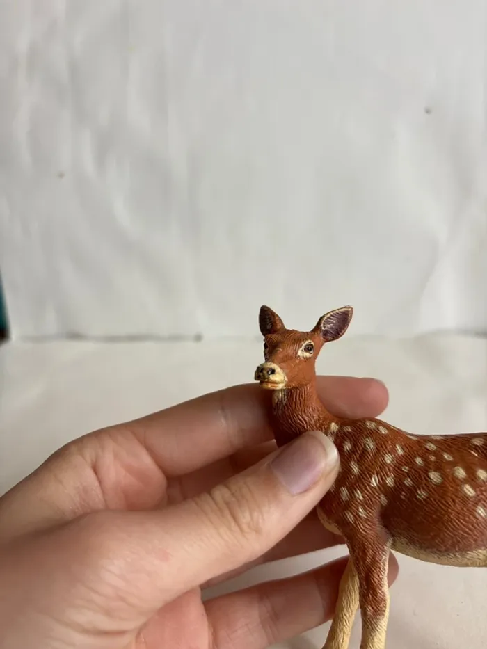 Biche papo - photo numéro 4