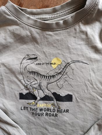 T-shirt dinosaure 