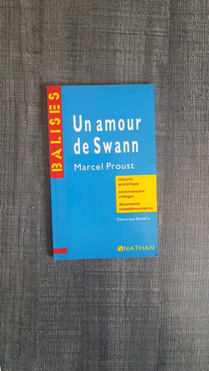 Livre balises un amour de swann