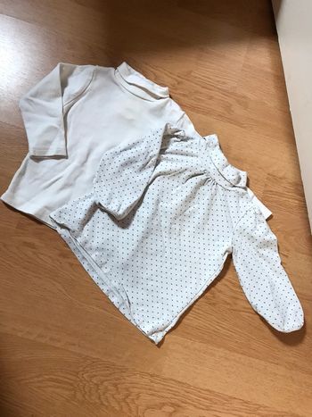 Lot 2 sous pulls 9 mois