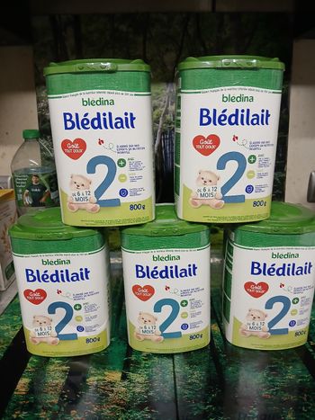 Lot 5 pots Blédilait(Blédina) 2ème âge – 800 g – Neufs (6–10 mois)