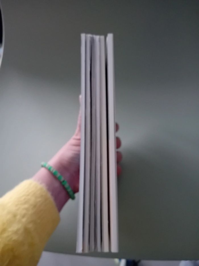 Lot de 6 petites bd souple tbe - photo numéro 8