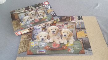 Puzzle 500 pièces - 3 chiots