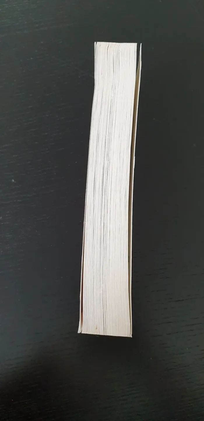 Livre "Disparu à jamais" - photo numéro 3