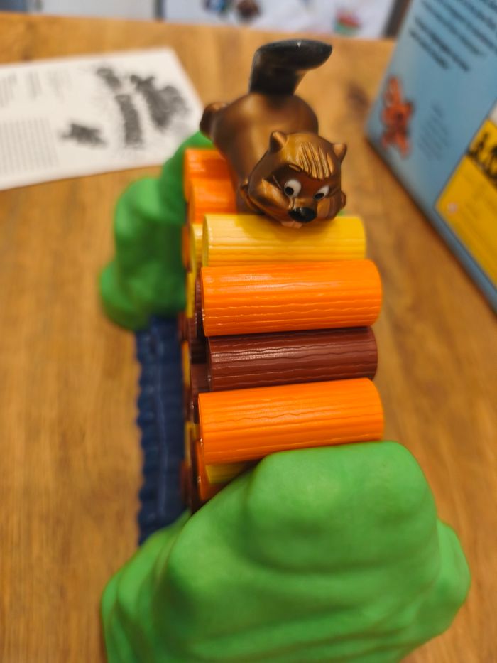 Jeu Cata Castors ! - photo numéro 3