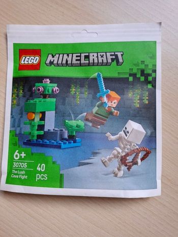 LEGO Minecraft® 30705 - Combat dans la caverne luxuriante
