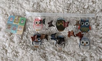 10 petites barettes papillons et 1trousse oiseau