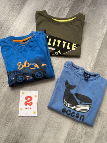 Lot t-shirt garçon 2A
