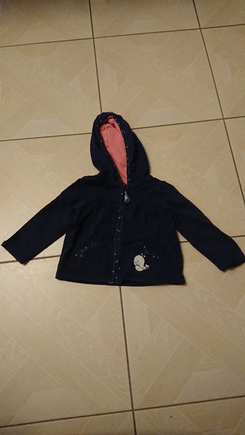 Veste à capuche Baleine