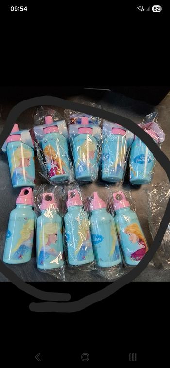 Lot 10 gourdes reine des neiges