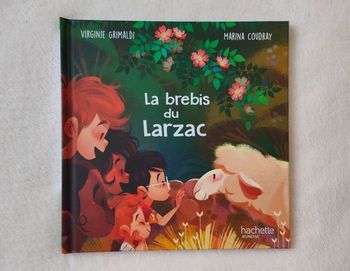 Livre  "Surprise à la grotte de Lascaux" collection Mc Donalds
éditions Hachette Jeunesse 
de Virginie Grimaldi