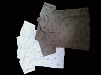 Lot 2 polos manches courtes 18 mois