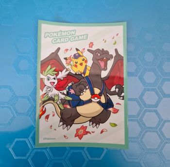1 sleeve pokemon
