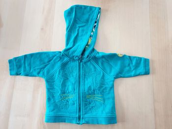 Gilet zippé bébé 3 mois DPAM lion