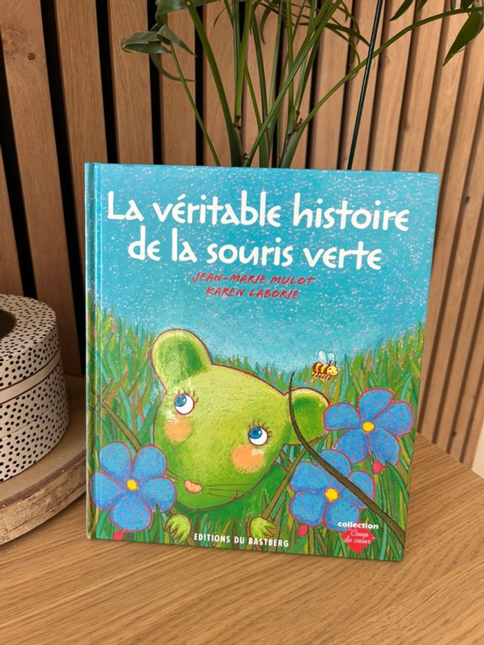 Livre enfant souris verte