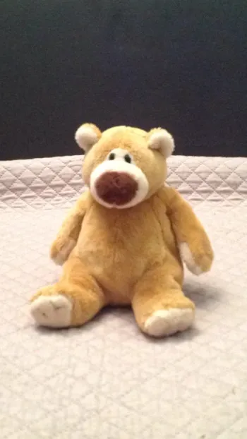 Ourson