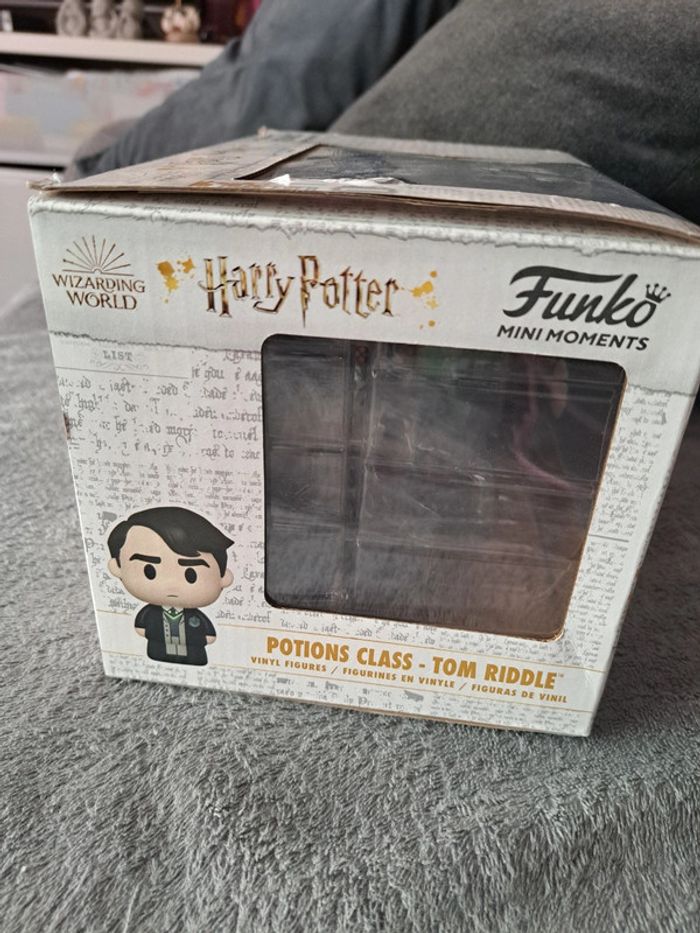 Potions class tom riddle - photo numéro 6
