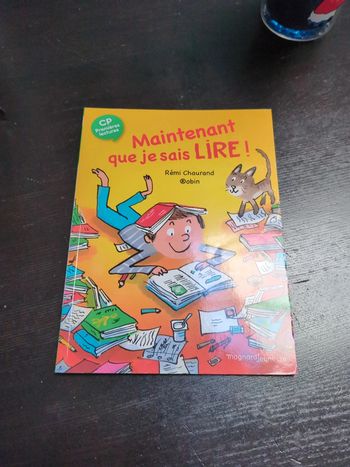 Livre maintenant que je sais lire Cp premières lectures