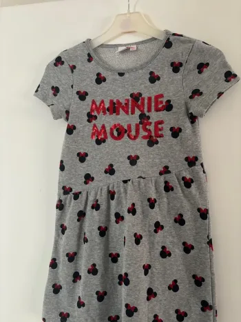 Robe Minnie orchestra
