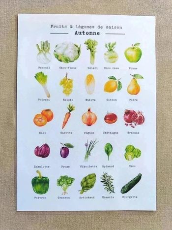 Fruits et légumes de saison d'Automne A4 papier 250G