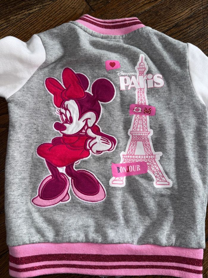 Gilet ou blouson Disneyland Paris 24 mois Acheté au parc - photo numéro 3