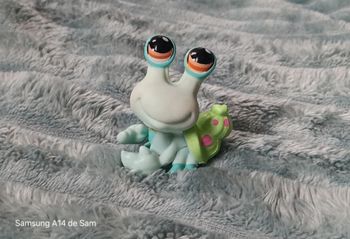 Petshop Bernard l'ermite