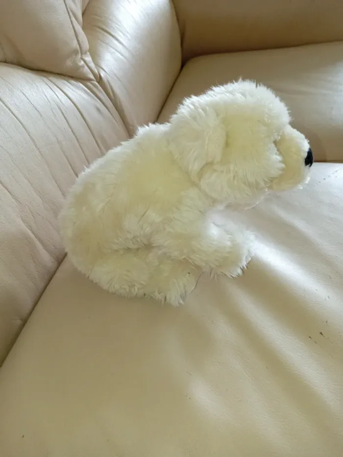 Petit ours blanc - photo numéro 3