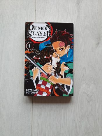 Demon Slayer Tome 1