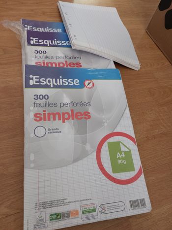 3 lots de 300 feuilles