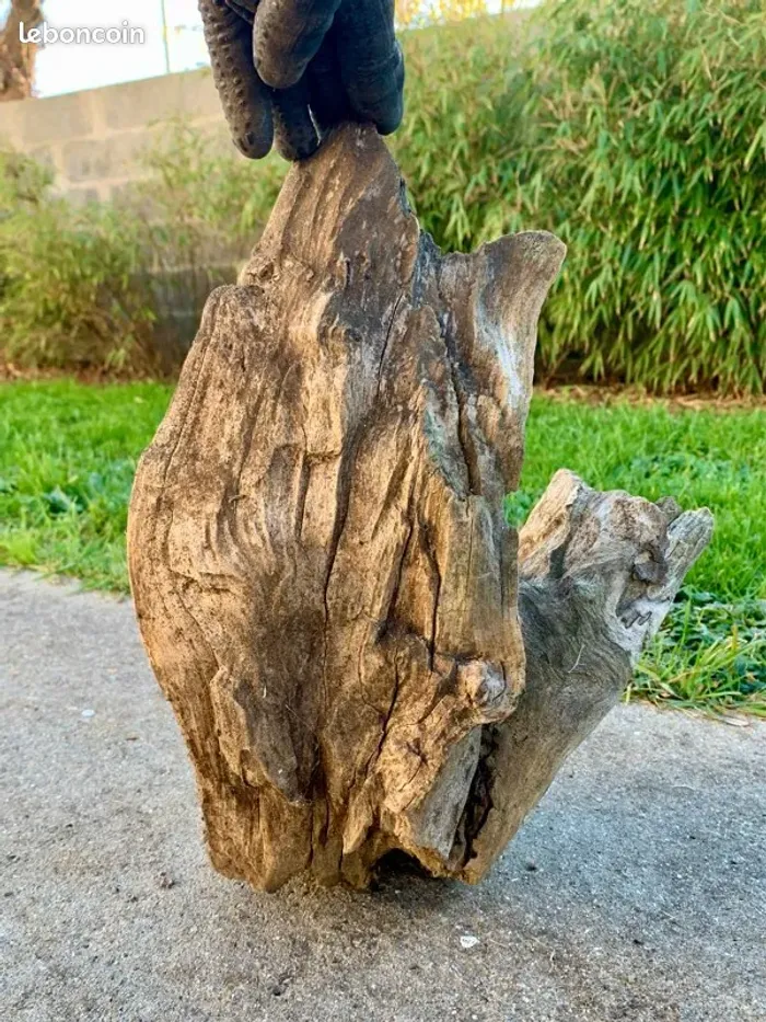 Branche bois 🪵 flotter