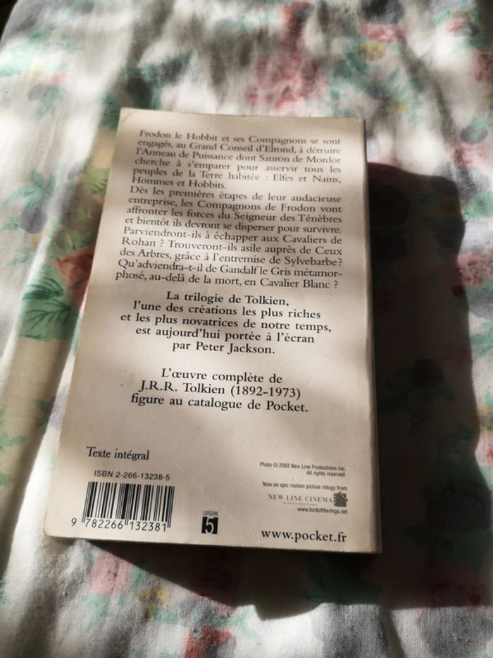 Le seigneur des anneaux - photo numéro 2