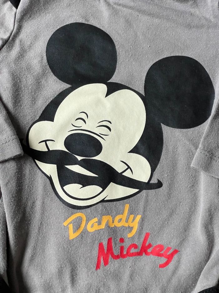 Bodie 9 mois - photo numéro 2