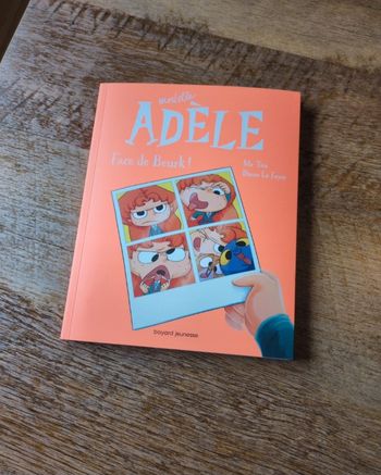 Livre - mortelle adèle 19