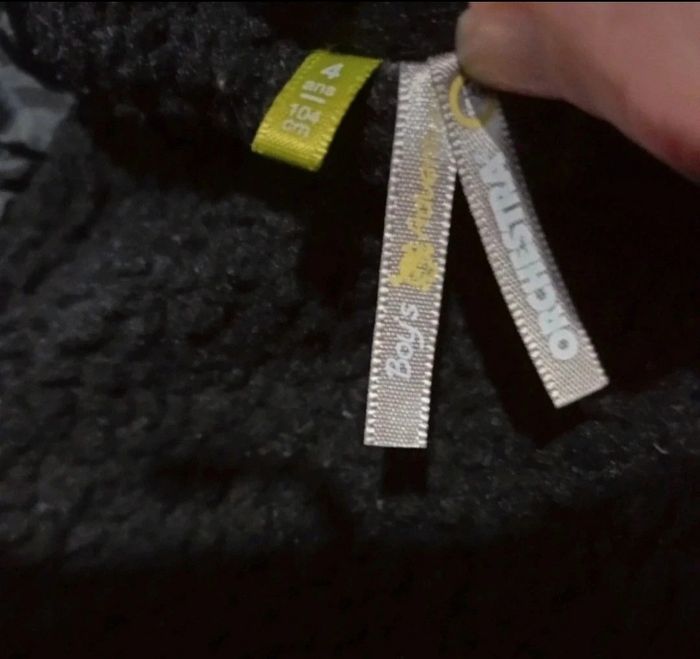 Blouson molletonné à capuche 4 ans - photo numéro 3