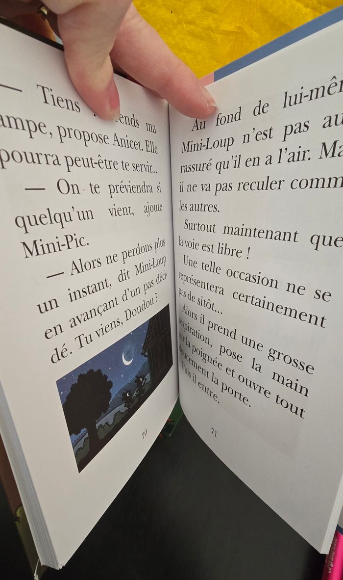 Lot de 19 livres mini loup - photo numéro 4