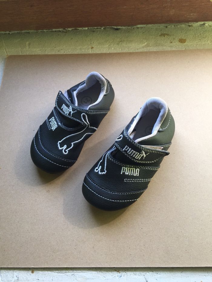 Basket Puma