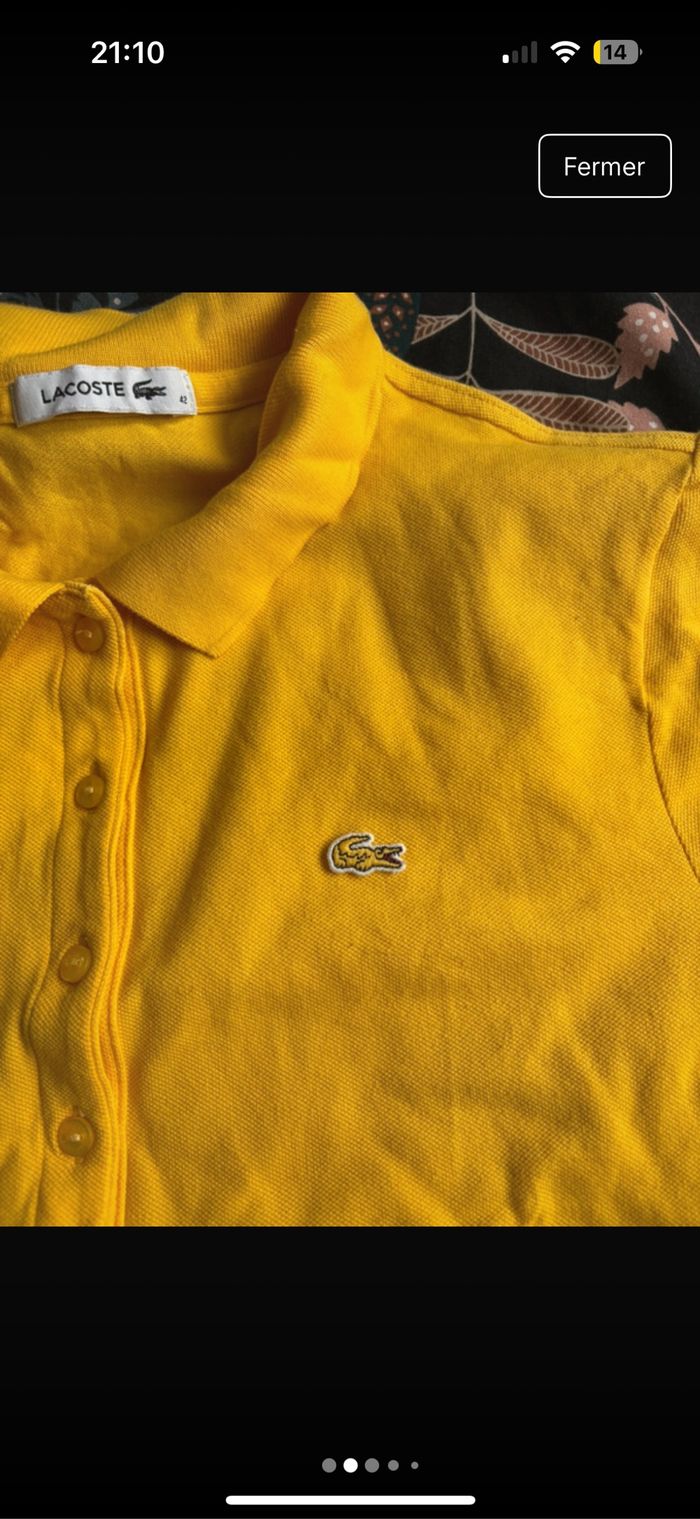 Polo Lacoste - photo numéro 2